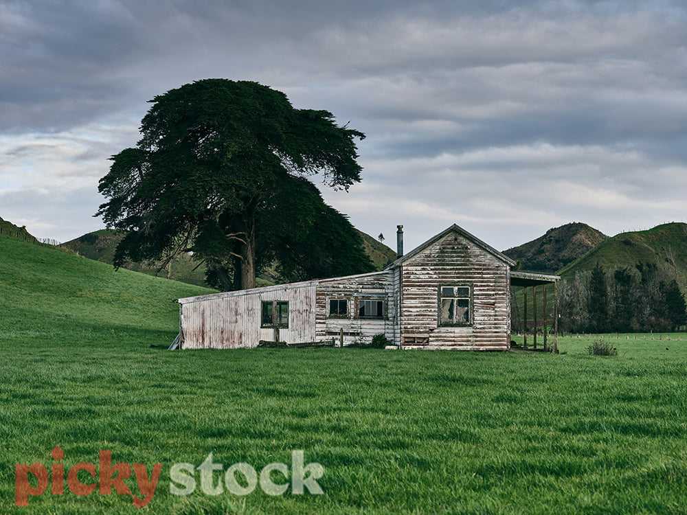 Old farmhouse in the middle of a paddock