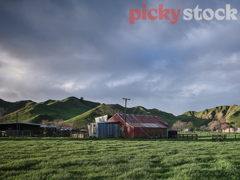 Green grass and farm sheds