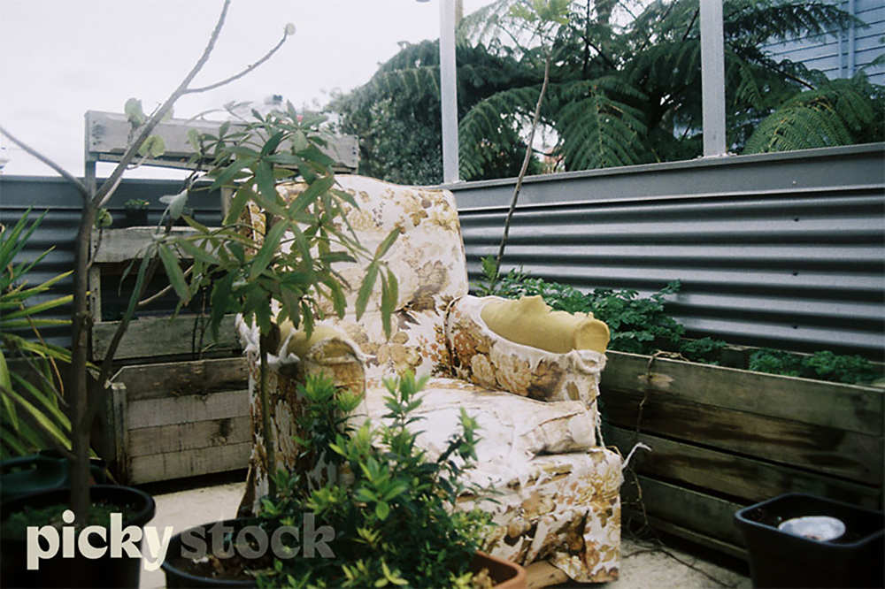 Ageing armchair with fabric falling off, sits on a back porch surrounded by pot plants.