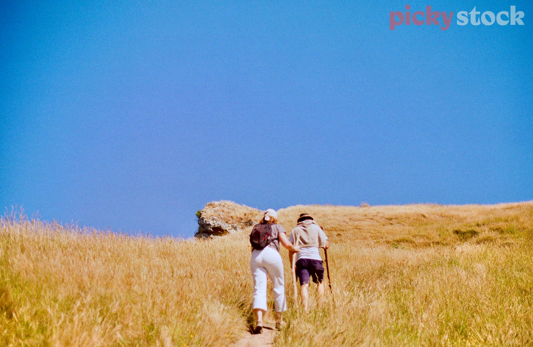 A man and lady walk up to the Te Mata Peak. Wearing casual clothing, not formal hiking gear. Using sticks as makeshift hiking poles. Lady is wearing white pants with a brown packpack. Male has a light beige jumper tied around his shoulders. Sky is very blue, not a cloud in the sky. Grass is very dry and a soft yellow and brown