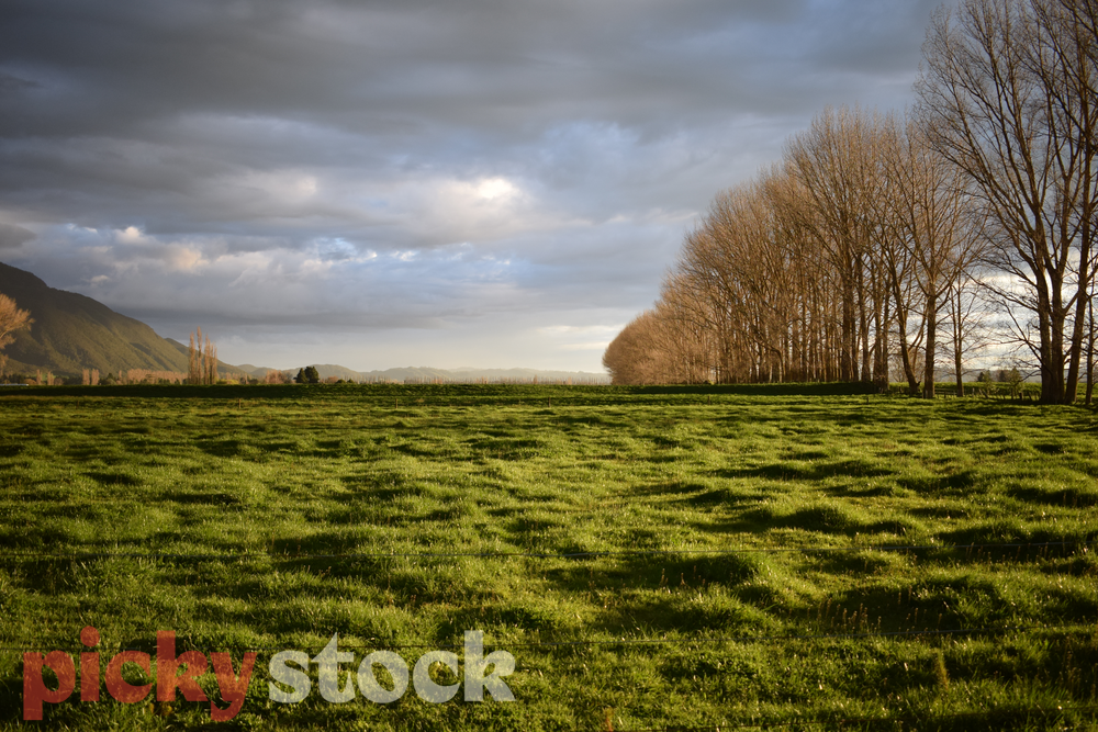 A farm paddock looking southwest along the Ikawhenua range